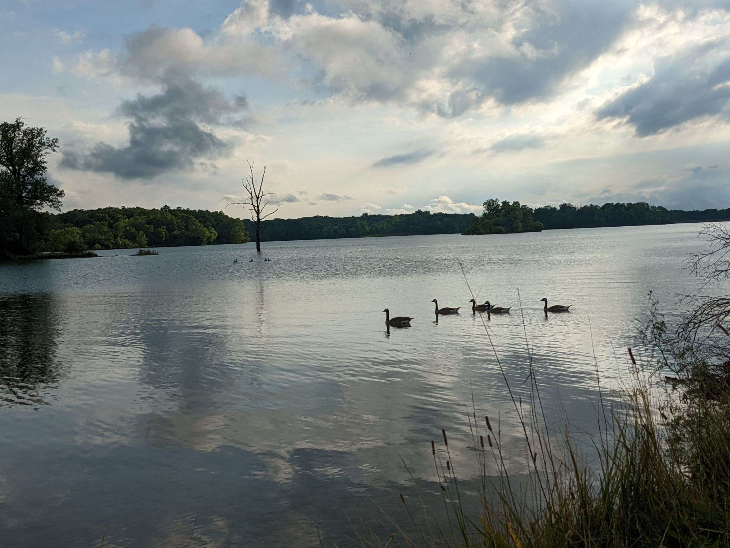 You'll Find Superb Outdoor Recreation on These 20 Indiana Lakes