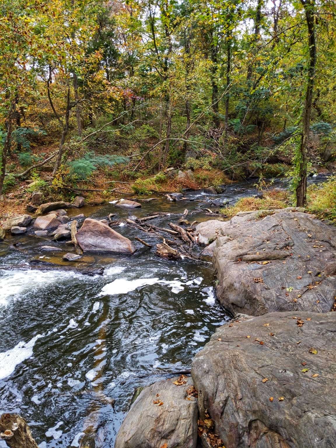 Top Fredricksburg, Virginia Places to Visit in a Day! - Cornfields and ...