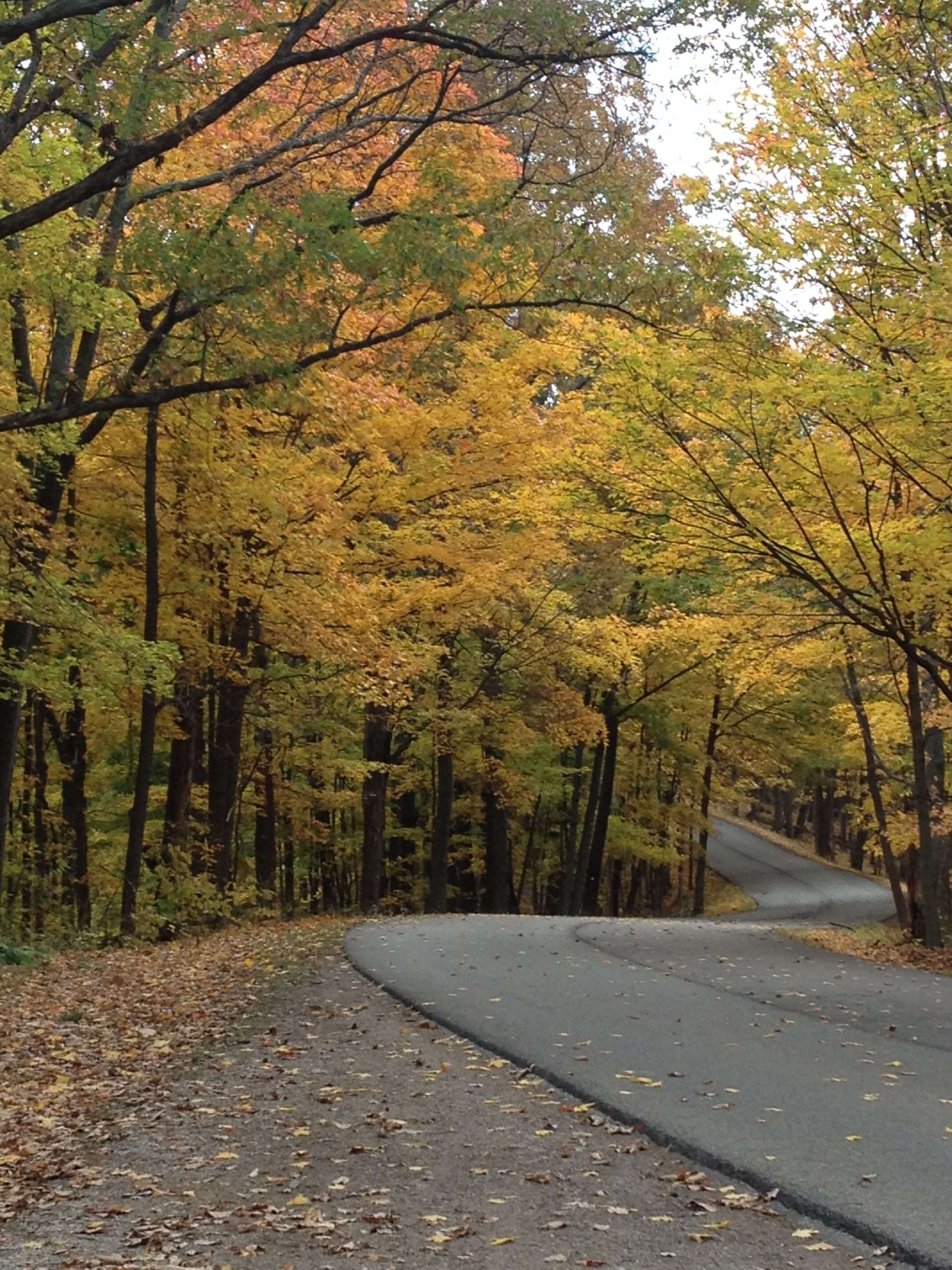 Guide To Visiting Brown County State Park Cornfields High Heels