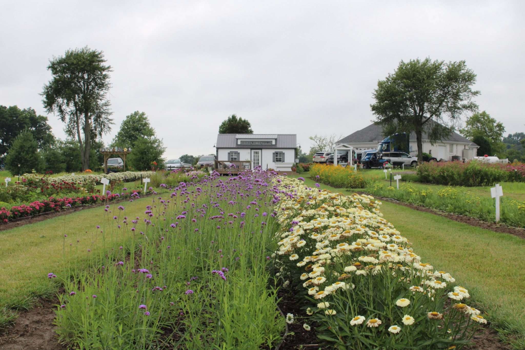 How to Spend a Day in Franklin, Indiana - Cornfields and High Heels