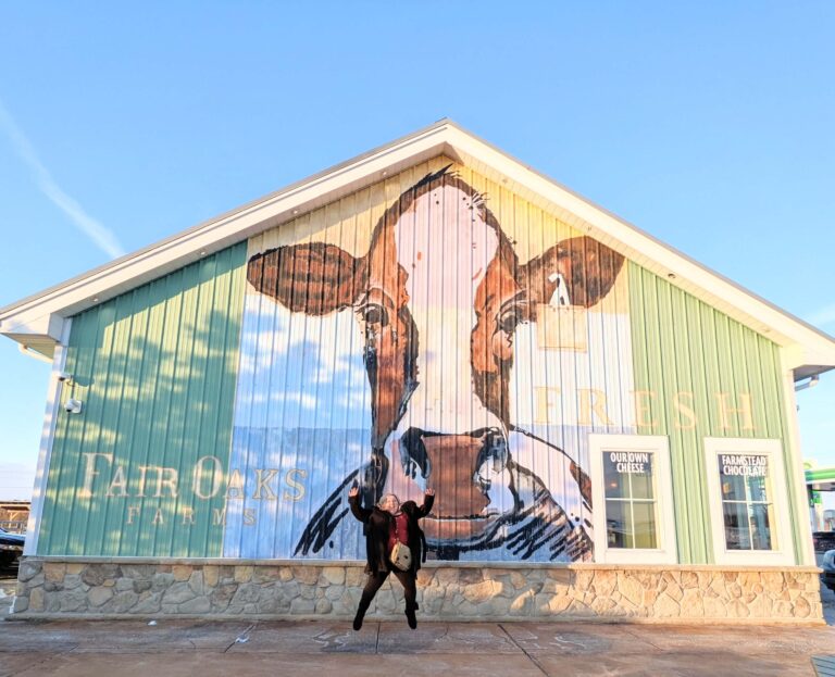 Go On An Adventure At Fair Oaks Farms