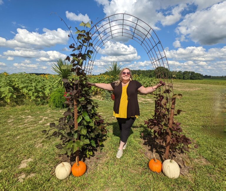 East Central Indiana Pumpkin Patches, Orchards & Corn Mazes