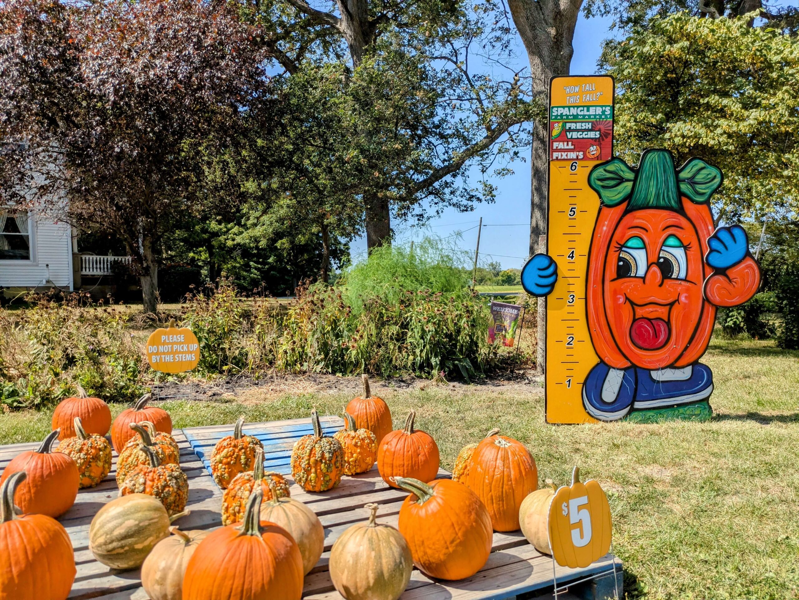East Central Indiana Pumpkin Patches, Orchards & Corn Mazes