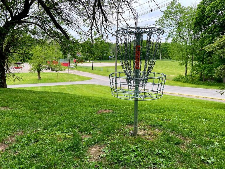 A Look At Henry County’s Disc Golf Scene