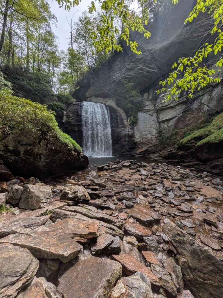 Falling in Love with Brevard, NC: A Guide to Waterfalls, Food, and More